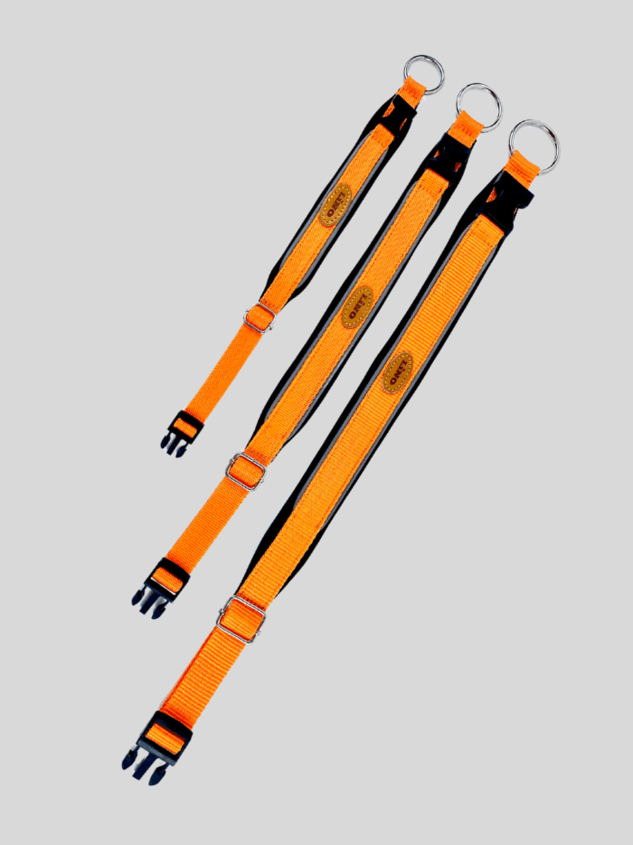 Ayarlı Boyun Tasma Spor Model (3)