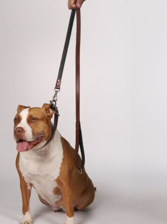 köpek deri gezdirme kayışı